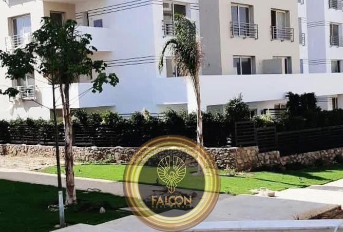 65918751 - صورة العقار 3