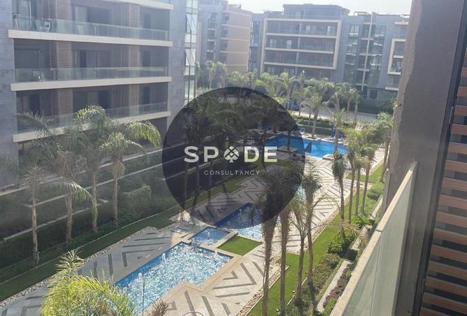 61451081 - Property Image 3