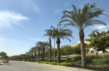 فيلا - 3 غرف نوم - 5 حمامات للبيع في بالم هيلز نيو كايرو - كمبوندات التجمع الخامس - التجمع الخامس - مدينة القاهرة الجديدة - القاهرة