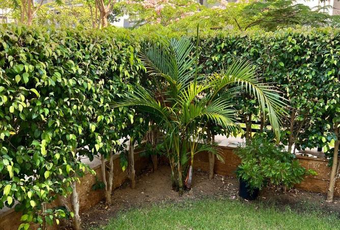 53989138 - Property Image 2