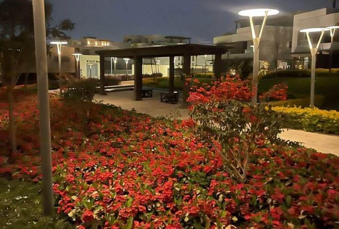 71648826 - صورة العقار 3