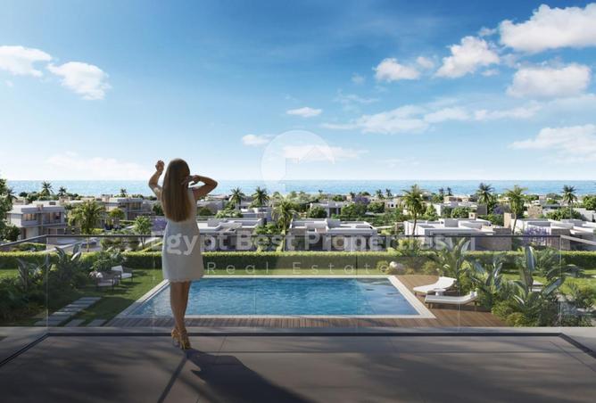 87513945 - Property Image 3