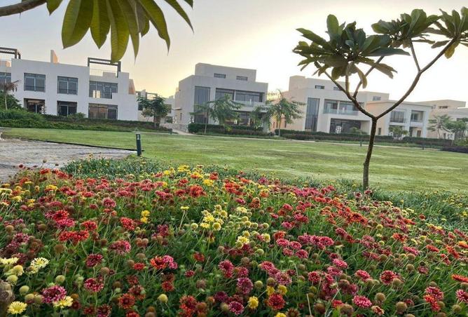 56994237 - صورة العقار 3