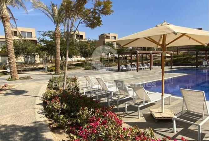 8561737 - Property Image 3