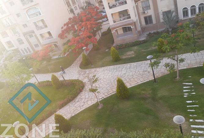 58256403 - الصورة الرئيسية للعقار