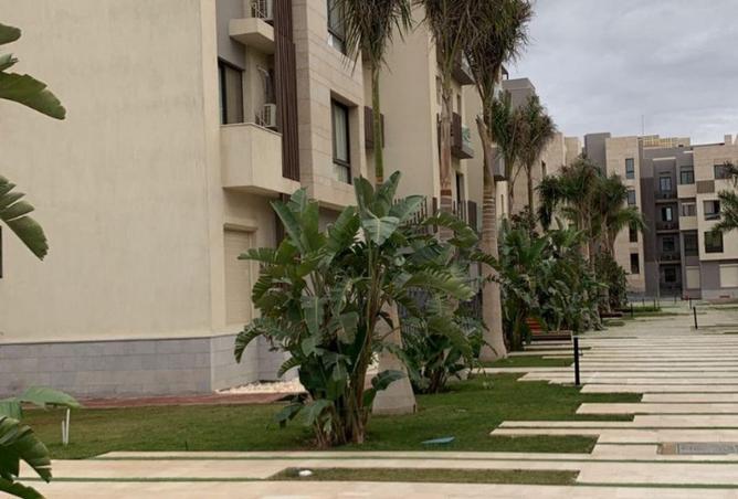 67731359 - صورة العقار 3