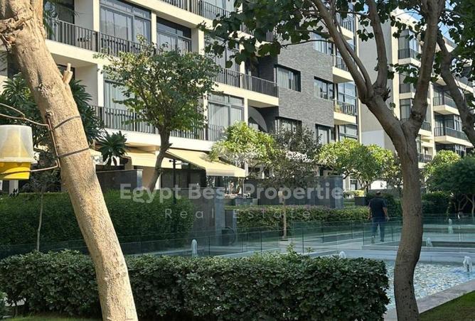 68275443 - Property Image 3