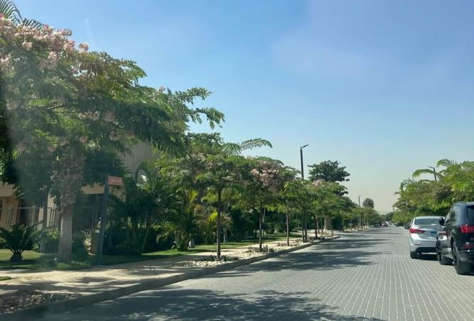 97725145 - صورة العقار 3