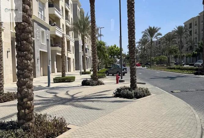 66169666 - Property Image 3