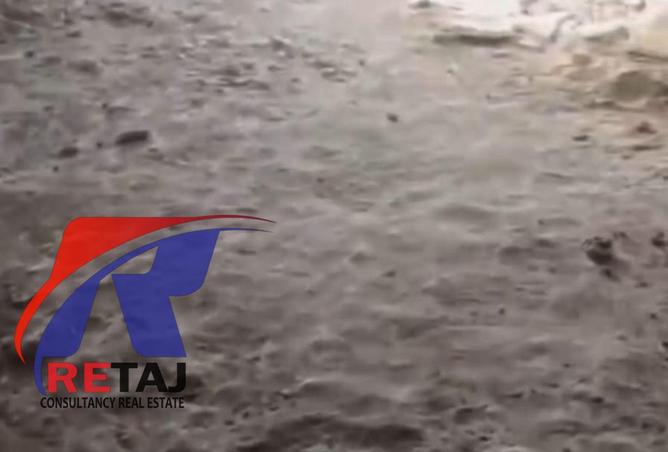 58247594 - صورة العقار 3