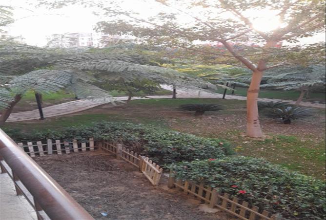 57749930 - الصورة الرئيسية للعقار