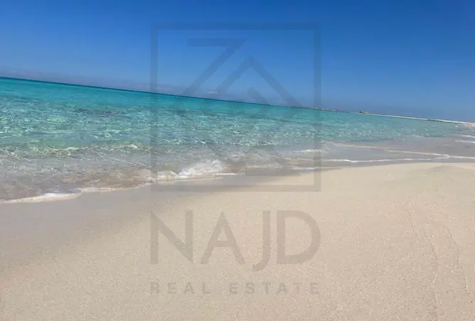 106851056 - Property Image 3