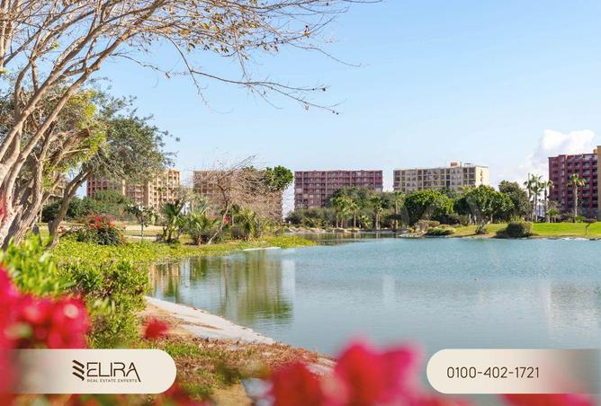 63389472 - Property Image 2