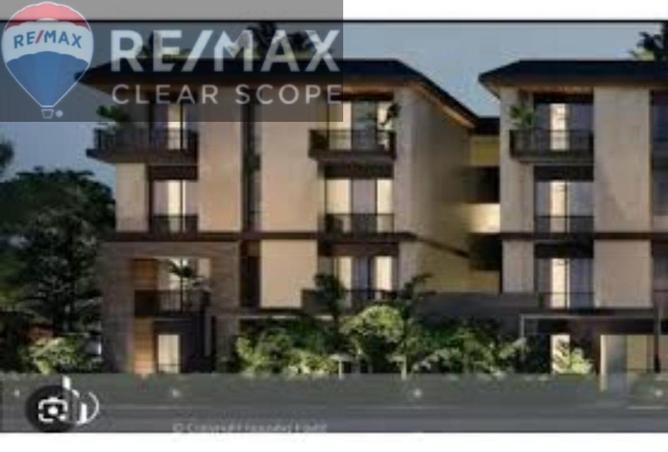 55997009 - Property Image 2