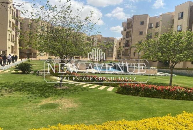 56503906 - صورة العقار 2