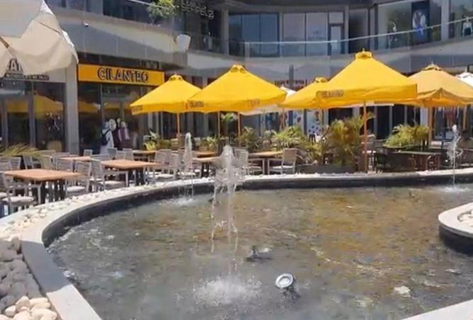 55745925 - Property Image 3