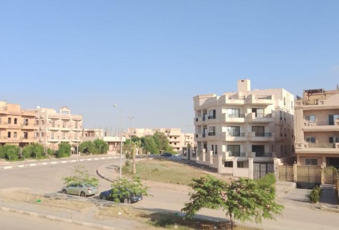 104881020 - صورة العقار 2
