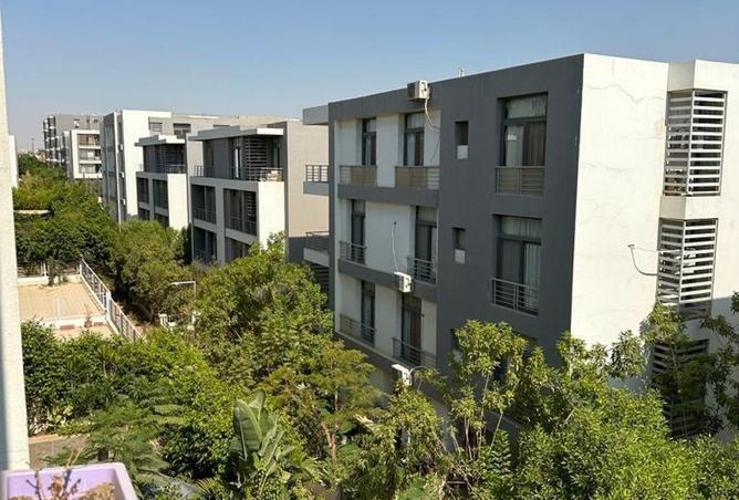 53722311 - Property Image 3