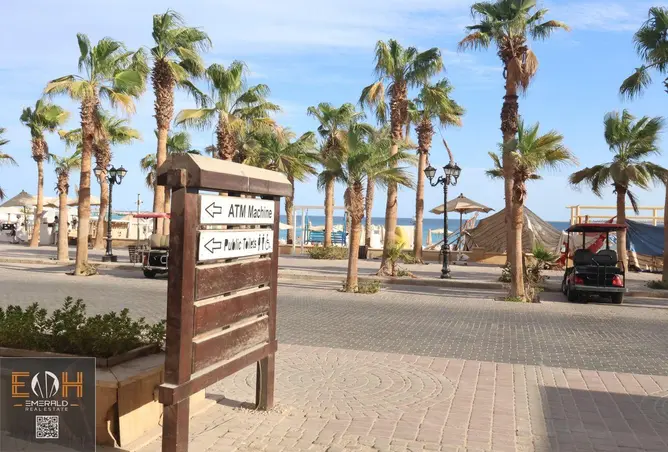 118039674 - صورة العقار 3