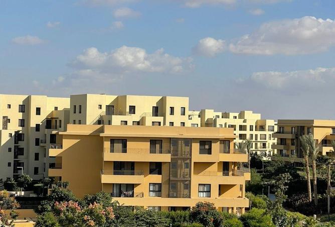 8617549 - صورة العقار 2