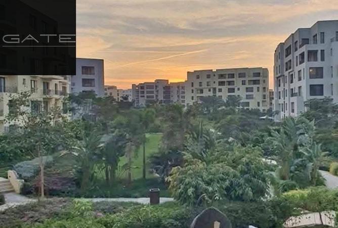 57243280 - صورة العقار 3