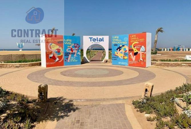 55171216 - صورة العقار 3