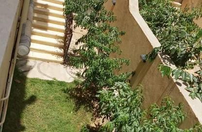 Apartment - 3 Bedrooms - 3 Bathrooms for rent in Al Sadat Axis - The 1st Settlement - New Cairo City - Cairo Apartment - 3 Bedrooms - 3 Bathrooms for rent in Al Sadat Axis - The 1st Settlement - New Cairo City - Cairo