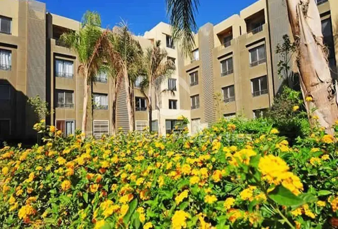 113263377 - صورة العقار 2
