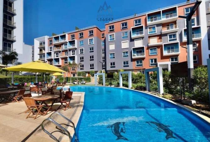 66437936 - Property Image 2