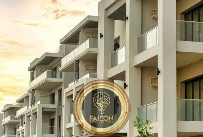 62649436 - Property Image 2