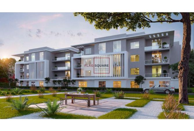 52713492 - Property Image 3