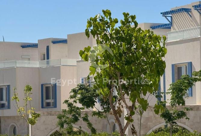 87517682 - صورة العقار 2