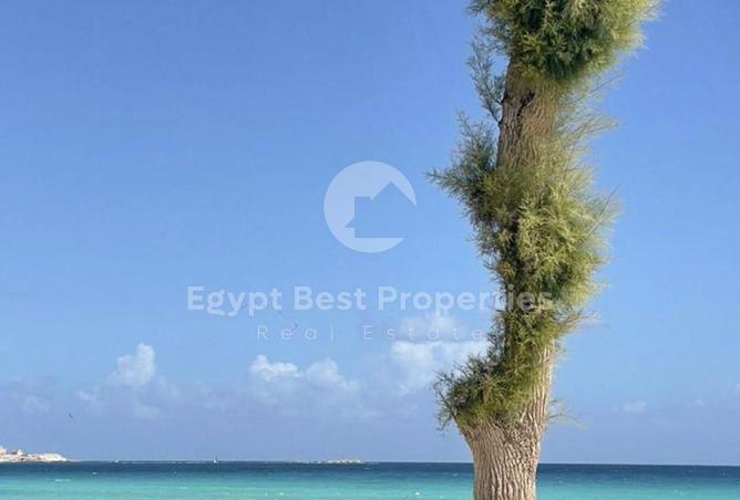 66430948 - صورة العقار 3