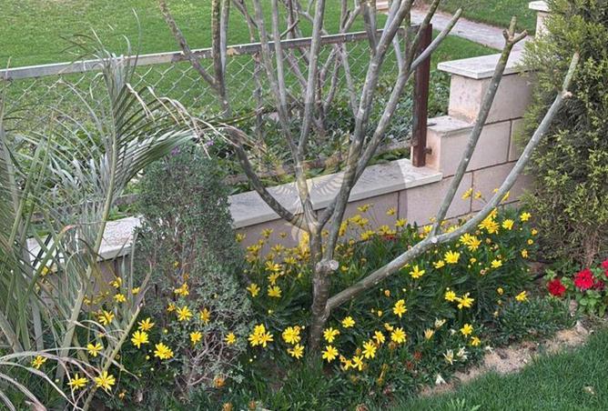 8480723 - Property Image 3