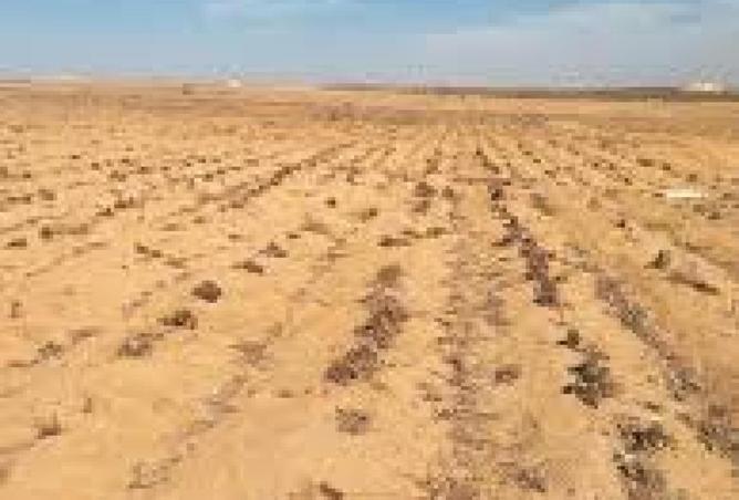 52195330 - الصورة الرئيسية للعقار