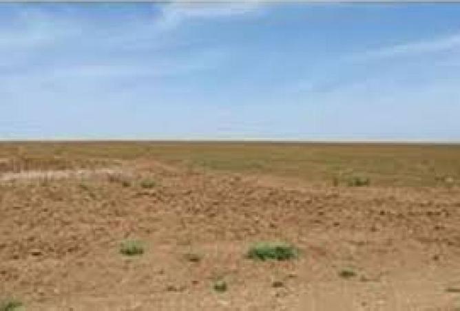 52195330 - صورة العقار 3