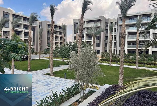 53478277 - Property Image 2