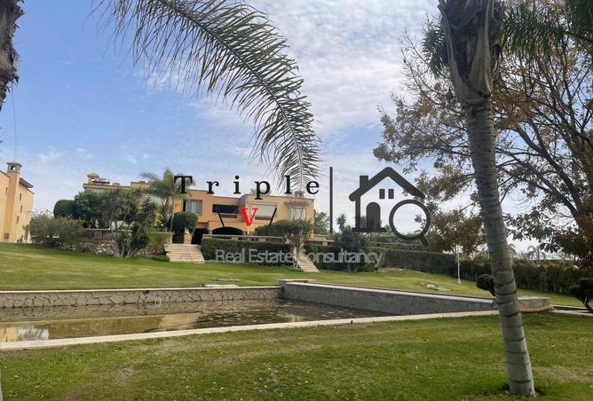81836768 - صورة العقار 3