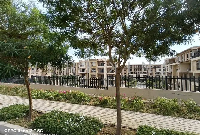 117534717 - صورة العقار 2