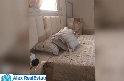 شقة - 3 غرف نوم - 2 حمامات للايجار في طريق الجيش - سيدي بشر - حي اول المنتزة - الاسكندرية