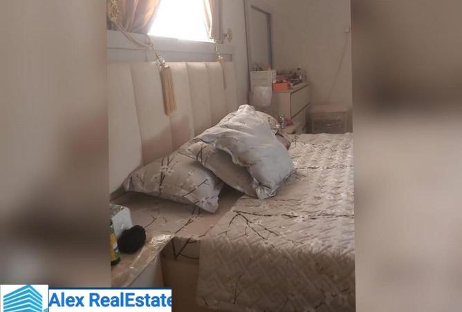 61680095 - Property Image 2