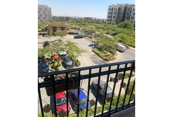118540646 - Property Image 3