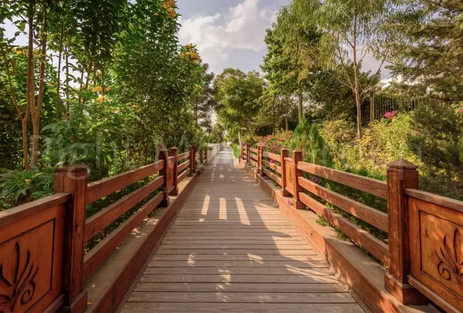 112989222 - Property Image 3