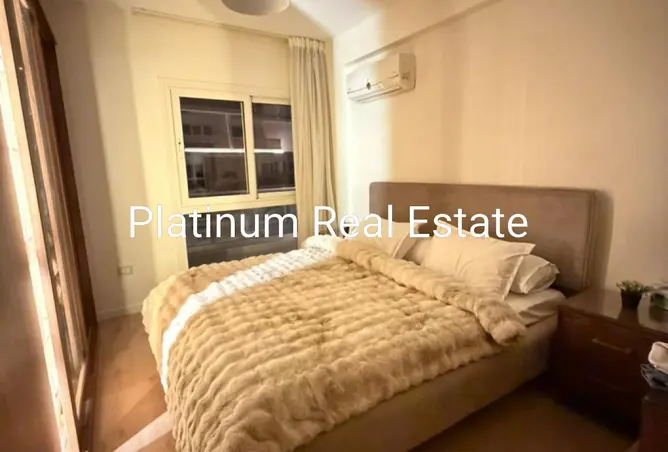 117013876 - Property Image 2