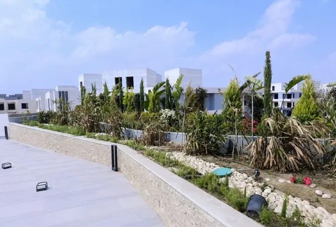 119325866 - Property Image 2