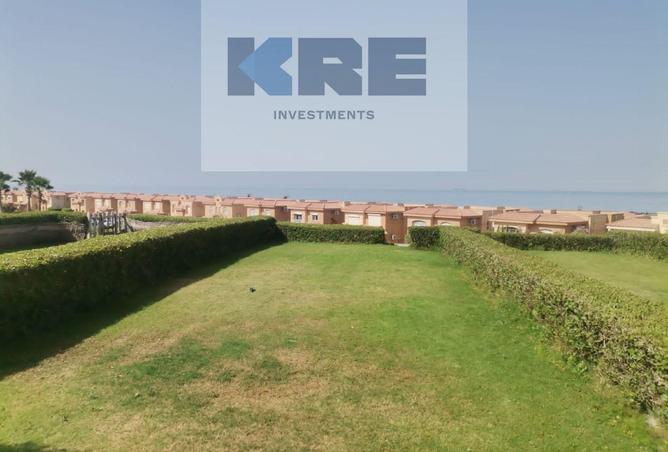 67216114 - صورة العقار 3