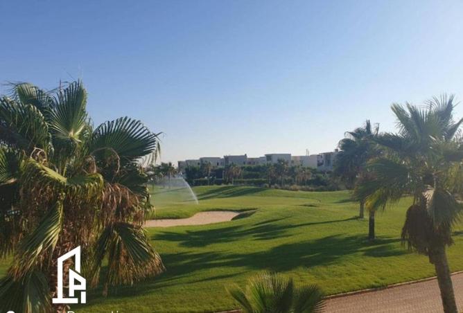 54242368 - Property Image 3