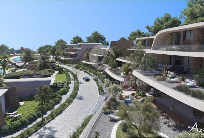 61205387 - Property Image 3