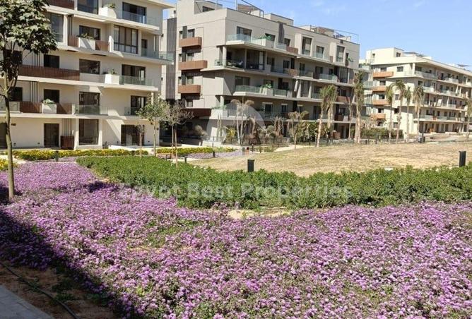 64648696 - Property Image 3