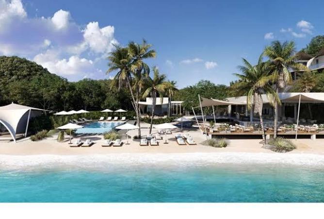 62649849 - صورة العقار 3